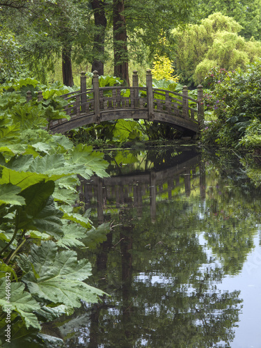 Photo: Bridge Bridge
