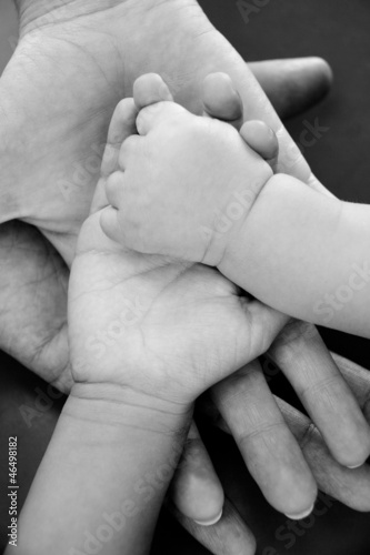 Photo: All the family caring for the newborn All the family caring for the newborn