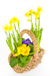 Photo: Korb mit Blumen, basket with flowers Korb mit Blumen, basket with flowers