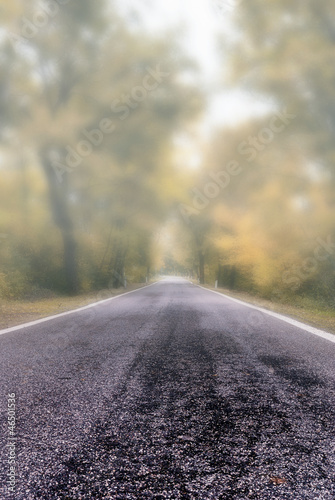 Photo: road shrouded by the fog in autumn road shrouded by the fog in autumn