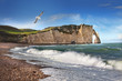 Falaises Etretat