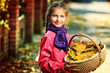 Photo: basket of leaves basket of leaves