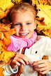 under leaves