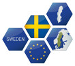 Vector Iconset *** EU Sweden