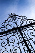 Portail, grille, fer forgé, ferronerie, entrée, style, luxueux