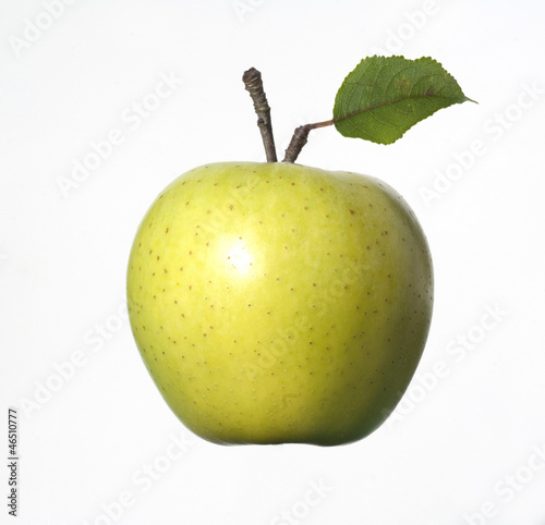 Photo: Golden Delicius, Apfel Golden Delicius, Apfel