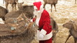 Video: Christmas treat Christmas treat