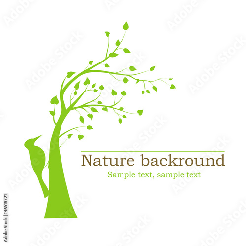 Vector: woodpecker on a tree - vector background woodpecker on a tree - vector background