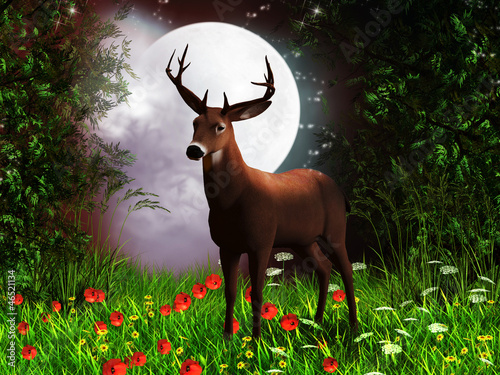 Illustration: fairy night fairy night