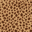 Leopard skin