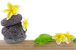 galets et fleurs sur bambou