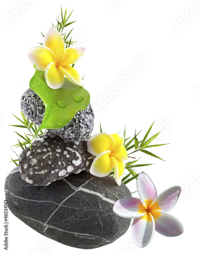 Photo: décor galets et fleurs décor galets et fleurs
