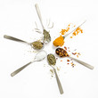 Spices and herbs on white background