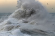 Stormy Waves