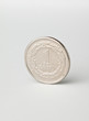 Polish coins, money - close-up on white background