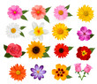 Big Set Of Beautiful Colorful ...