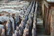 Terracotta Warriors