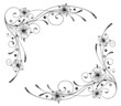 Ranke, Blumen, Rahmen, Kalligraphie, filigran