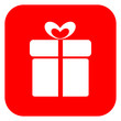 Vector gift icon