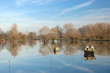 Flooding field meadow