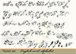 Calligraphic design elements and page decoration with  English A