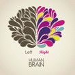 Human brain