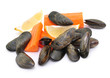 Muscheln