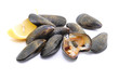 Muscheln, roh