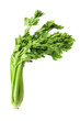 Celery