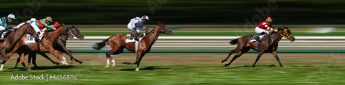 Photo: Course équestre Course équestre
