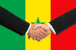 The Senegal flag