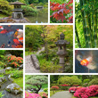Japanese garden collage