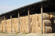 Foto: straw hay bale straw hay bale