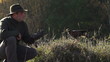 jastrząb wskakuje na rękę sokolnika w slow motion