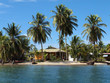 Tropical home