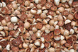 The cut Betel nut or Areca catechu was dry by the sunshine for e