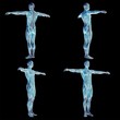 High resolution conceptual human 3D anatomy body with muscle