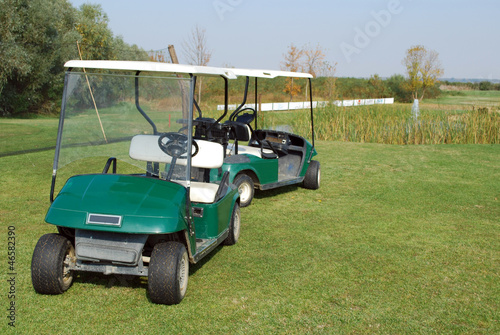 Photo: golf electric buggy golf electric buggy
