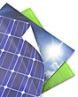 ecology
