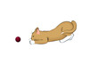 15 Katze lauernd, spielend, Ball