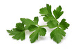 Parsley