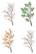 Four Seasons Isolated Small Tr...
