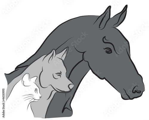 Vector: logo chat, chien et cheval - vétérinaire logo chat, chien et cheval - vétérinaire
