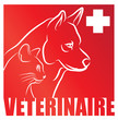 vétérinaire pour carnés et animaux de compagnie