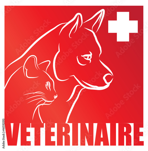 Vector: vétérinaire pour carnés et animaux de compagnie vétérinaire pour carnés et animaux de compagnie