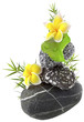 décor bambou, galets, ficus, fleurs de frangipanier