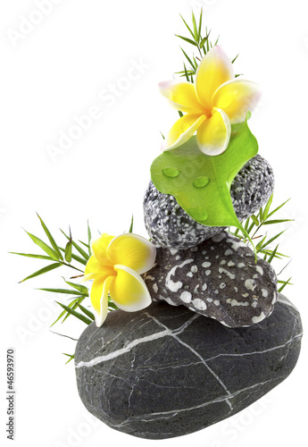 Photo: décor bambou, galets, ficus, fleurs de frangipanier décor bambou, galets, ficus, fleurs de frangipanier