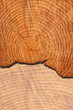 Photo: Wood Wood