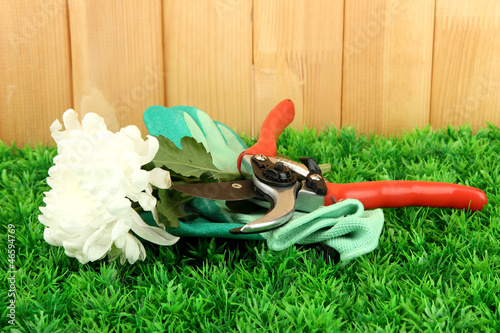 Photo: Secateurs with flower on grass on fence background Secateurs with flower on grass on fence background