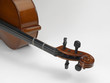 Foto: violoncello violoncello